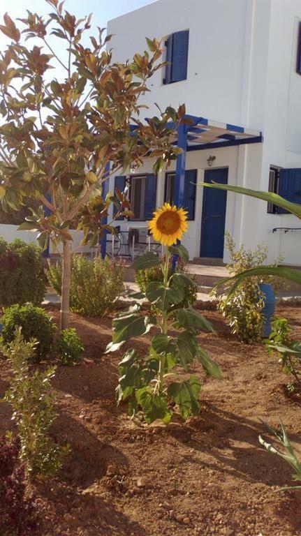 Serifos Island Ninemia Studios المظهر الخارجي الصورة